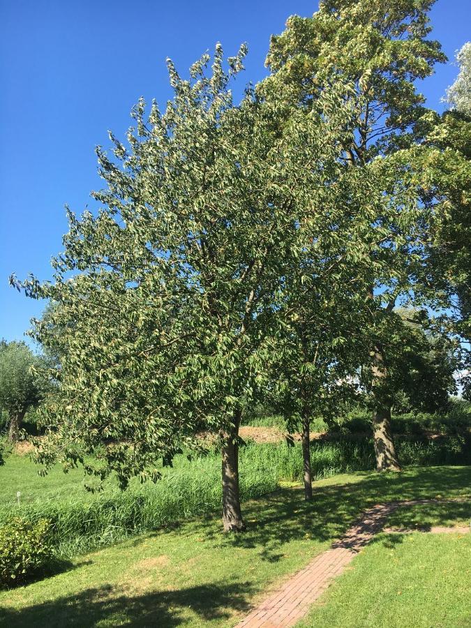 אבקאודה Landelijk Appartement In Een Mooi Recreatiegebied מראה חיצוני תמונה
